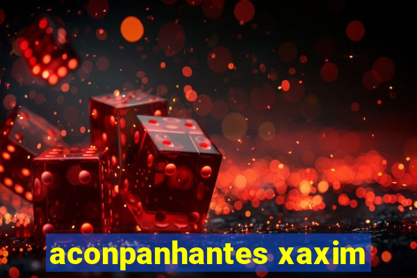 aconpanhantes xaxim